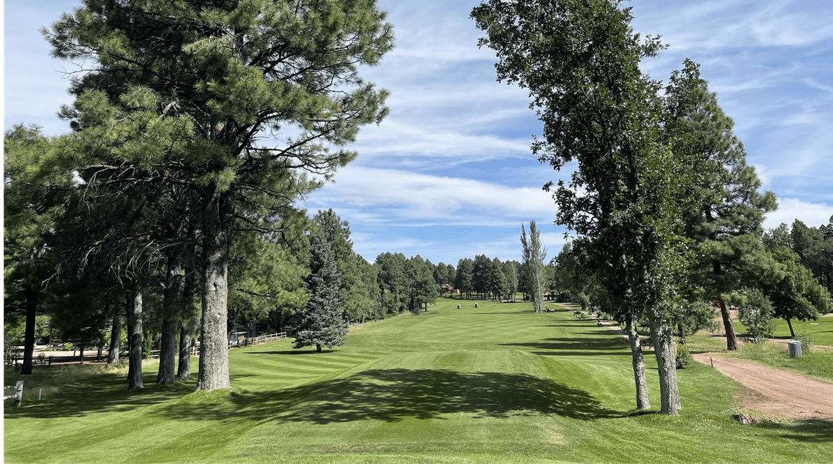 Golf Courses in Arizona (Public & Private)
